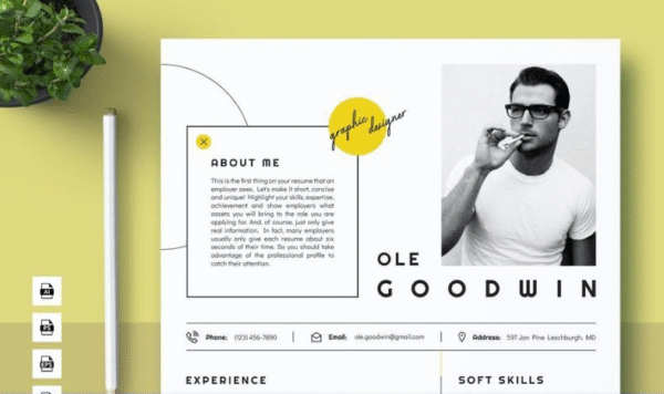 Accountant Marketing CV Resume Word Template